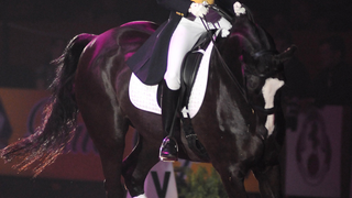 Katie Price (Glamour Model Jordan) Doesn't Ride Bareback